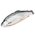 Лосось свежемороженый, потрошенный с головой 5-6кг Superior. Норвегия 